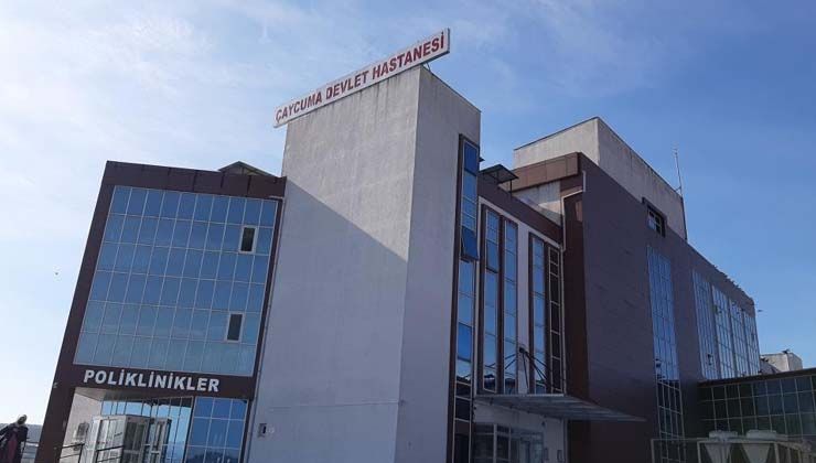 Ihlamur ağacından düşen İbrahim Palaz hayatını kaybetti