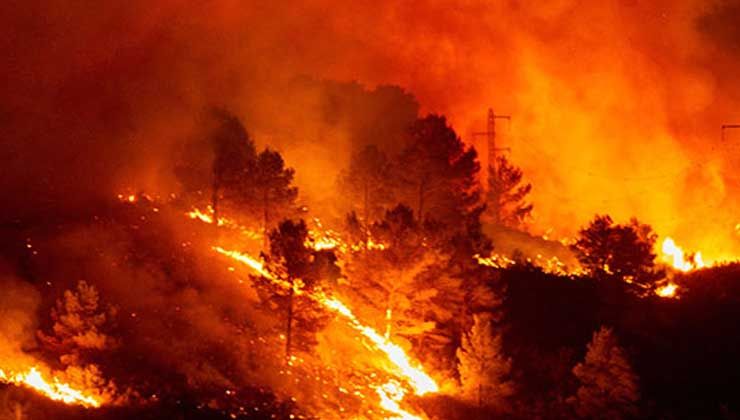 İspanya’da sıcak hava orman yangınlarına neden oldu