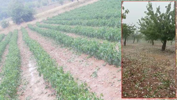 Bilecik’te ceviz büyüklüğünde dolu yağdı