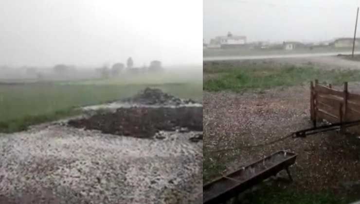 Ardahan’da dolu tarım arazilerine zarar verdi