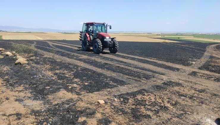 100 dönümlük buğday arazisi kül oldu