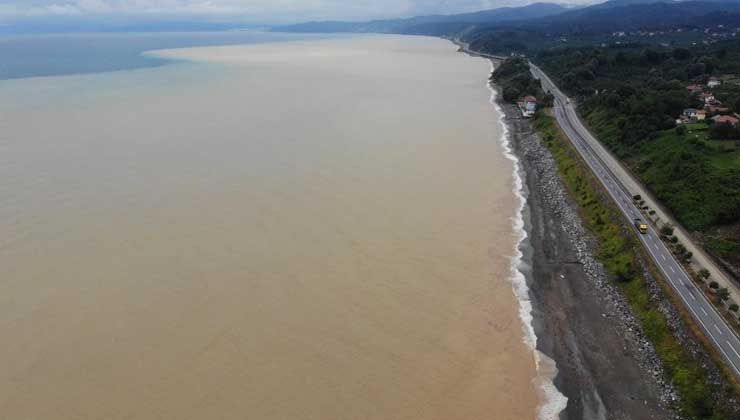 Derelerden akan su denizin rengini değiştirdi, görenler şaşkına döndü