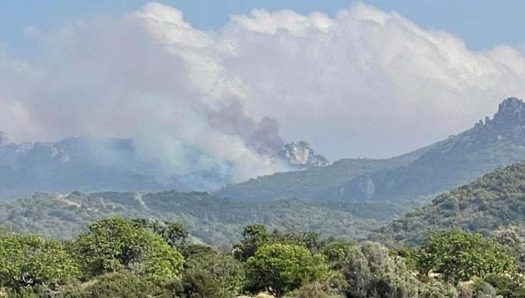 KKTC’de 3 noktada orman yangını çıktı