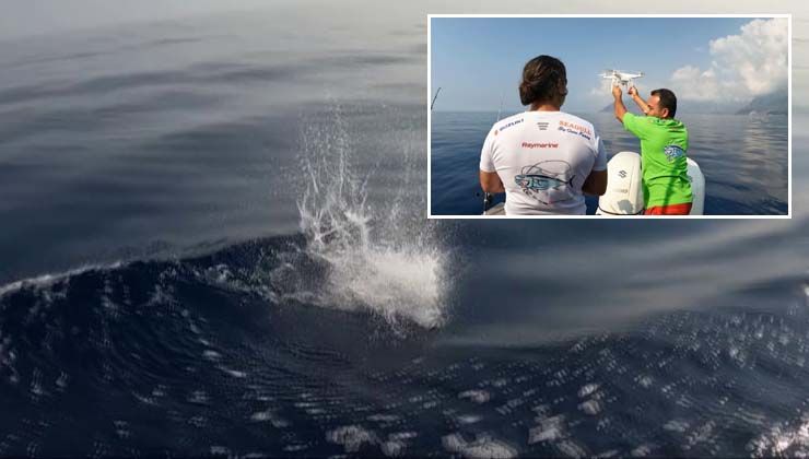 Palamut drone düşürdü: O anlar kamerada