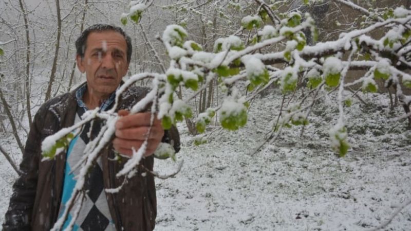 Ordu’da o atasözü gerçek oldu!