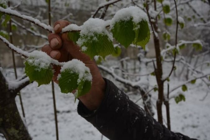 Ordu’da o atasözü gerçek oldu!