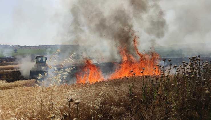 Tekirdağ’da buğday tarlası cayır cayır yandı