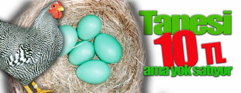 Mavi yumurtanın tanesini 10 TL
