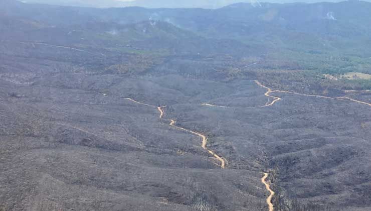 Marmaris’teki orman yangıyla ilgili şüpheli suçunu itiraf ettti