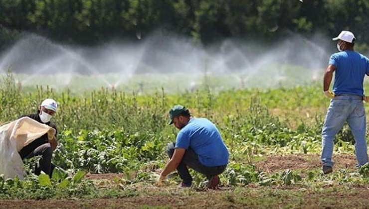 Türkşeker: Pancar çiftçimize 476 milyon lira avans ödemesi yapıldı