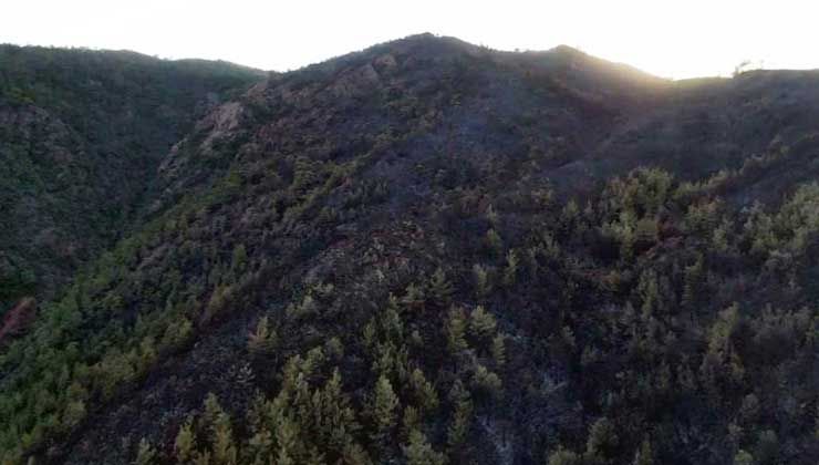 Marmaris yangını kısmen kontrol altında