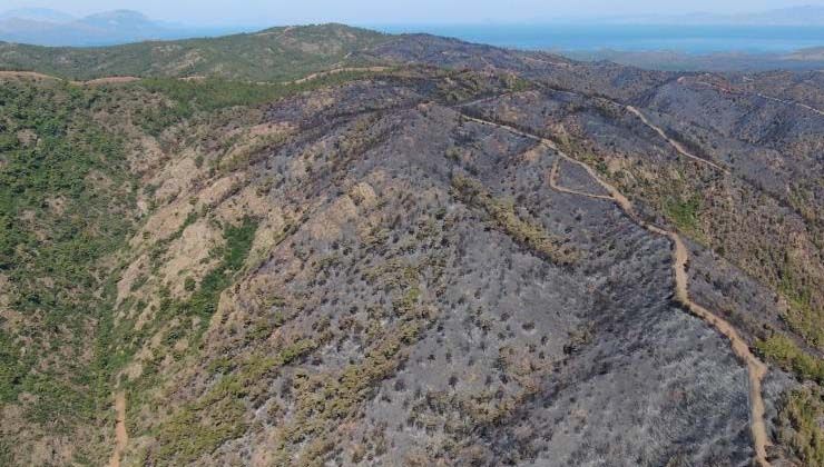 Marmaris yangını beş günde söndürüldü