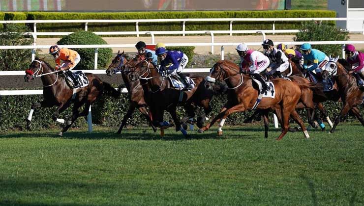 96. Gazi Koşusu’nda heyecan yarın başlayacak