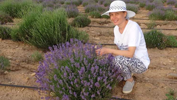 Türkiye’nin üçüncü büyük lavanta bahçesi, misafirlerini bekliyor