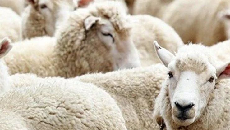 Bayram tatili 9 güne çıktı