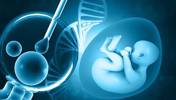 Tüp bebek tedavisi düşünenler dikkat: İşte tek tek aşamalar