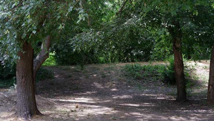 Edirne Valiliği açıkladı: Ormanlara giriş 3 ay yasaklandı