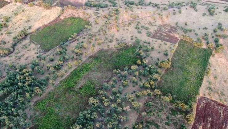 Diyarbakır’daki narko terör operasyonu: 6 milyonu aşkın kök kenevir ele geçirildi