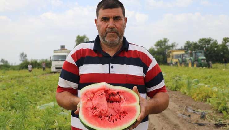 Karpuzun fiyatı yarı yarıya düştü: 1,5 liradan satılıyor
