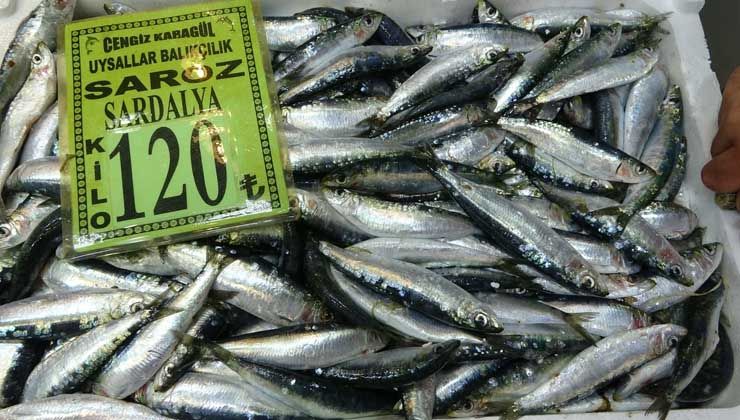 Havalar serinledi, balık fiyatları yükseldi: Sardalya 120 liradan satılıyor