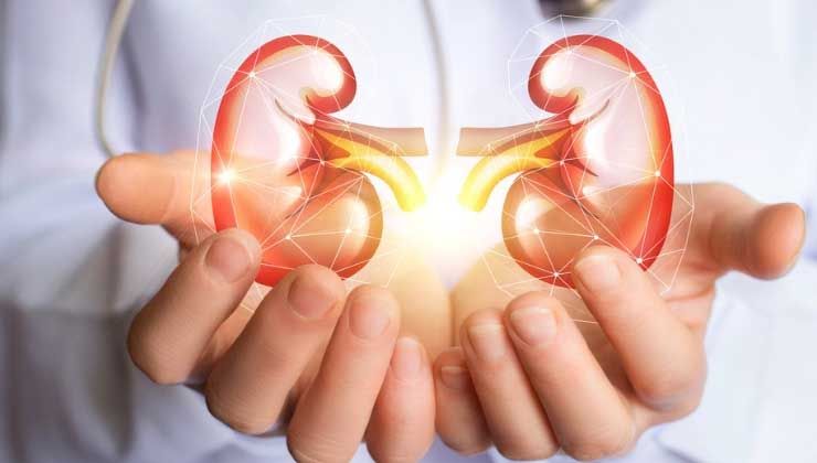 Uzmanı uyardı: İşte böbrek sağlığı için dikkat edilmesi gerekenler