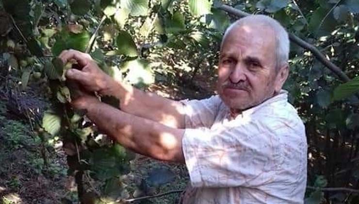 Ordu’da Hakkı Asma ağaçtan düşerek hayatını kaybetti