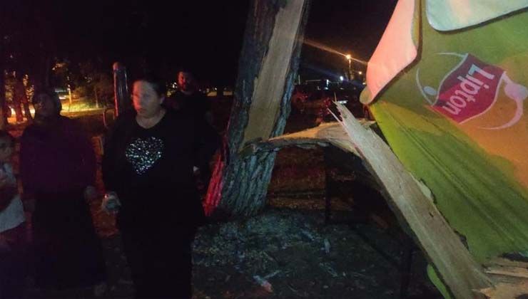 Bursa’da 8 kişilik ailenin üzerine tonlarca ağırlığındaki çam ağacı devrildi