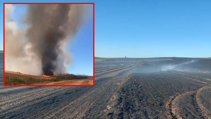 Türkiye’de son bir ayda tahıl tarlalarında yangınlar arttı