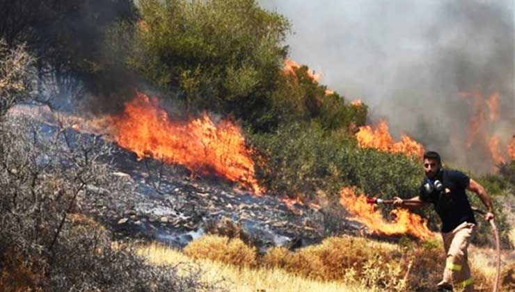 Yunanistan yanıyor! 53 noktada orman yangını çıktı