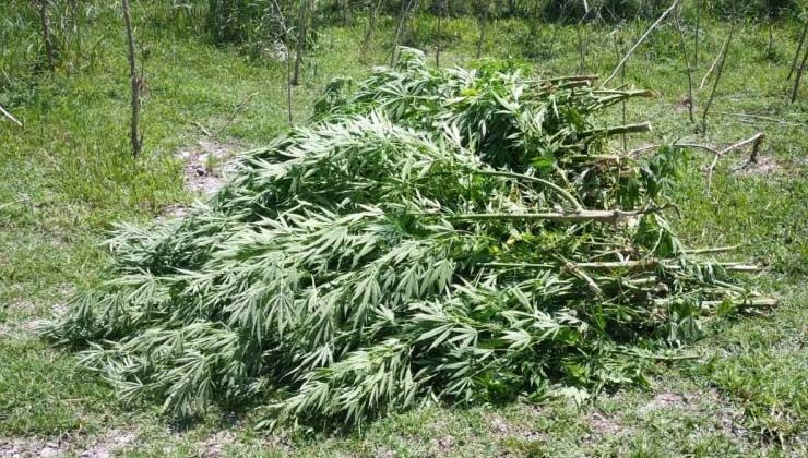 Diyarbakır’da 23 şüpheli gözaltına alındı