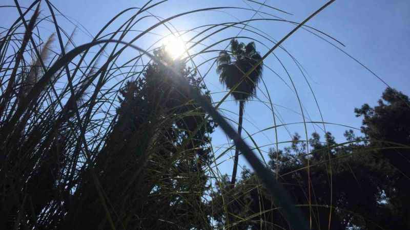 Adana’da termometreler 23 dereceyi gösterdi