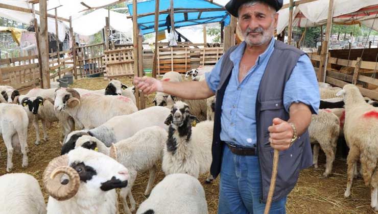 Besicilerin bayram mesaisi sürüyor