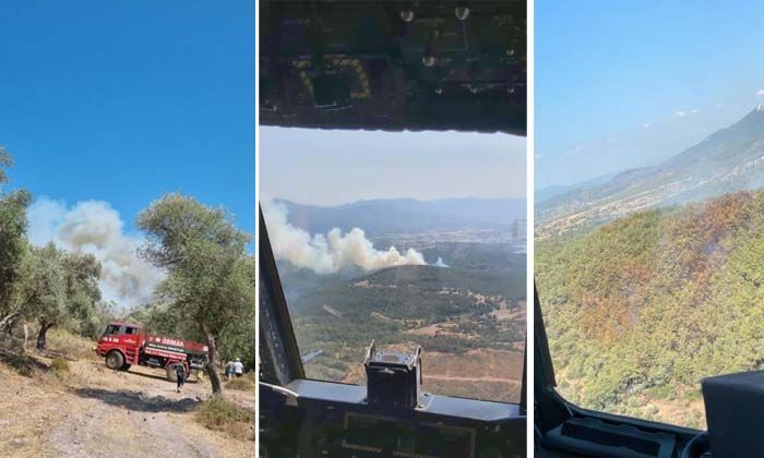 Bodrum’daki orman yangını kontrol altına alındı
