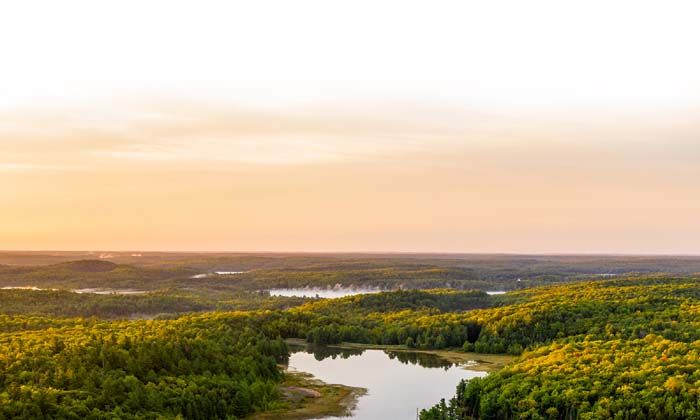 Brisa, Ecovadis’te “Altın” kategorisinde