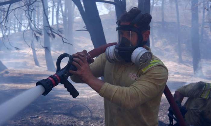 Edirne’de orman yangınına müdahale sürüyor