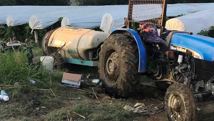 Amca çocukları arasındaki tartışmada kan aktı