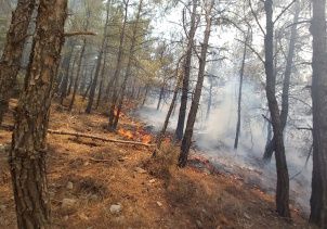 MSB’den Datça yangını paylaşımı!