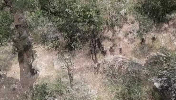 5 terörist etkisiz hale getirildi “Terörü kaynağında kurutmakta azimliyiz, kararlıyız”