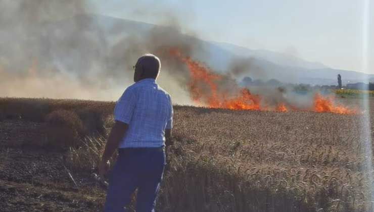 Buğday tarlası yangında küle döndü
