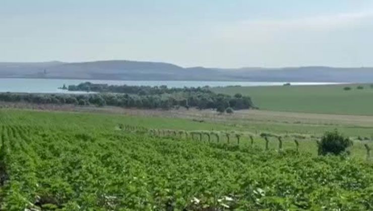 Büyükçekmece Belediye Başkanı uyardı: Sakın kimse inanmasın, paranızı çöpe atmayın