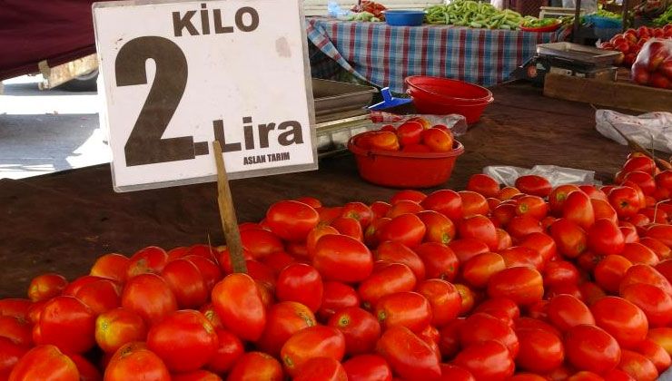 Adana’da domatesin kilosu 2 liraya düştü