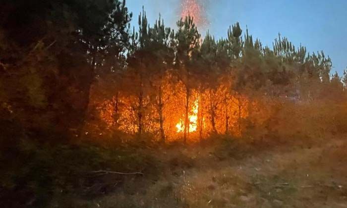 Fransa’daki orman yangınları 6’ıncı gününde: 14 bin hektar alan yandı