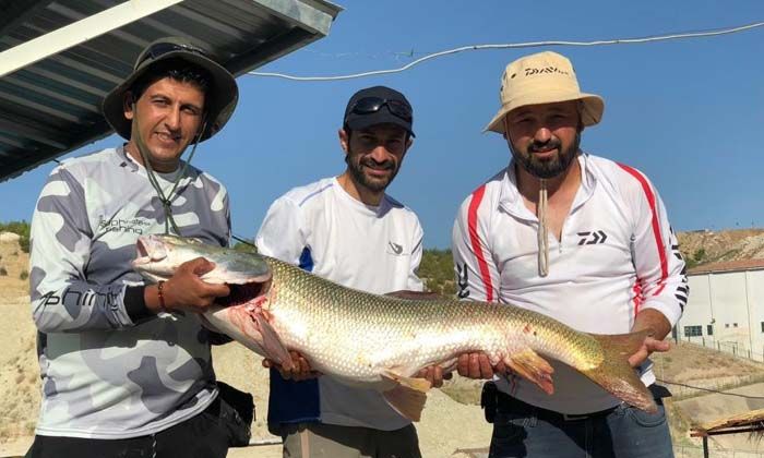 Oltayla 26 kiloluk dev turna balığı yakaladılar