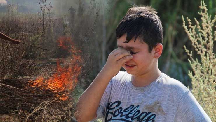 Antalya’daki yangında 11 yaşındaki Berat gözyaşlarına boğuldu: 23 yıllık ağaçlar yandı