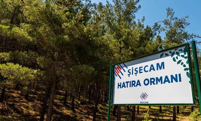 Yatağan’da 400 dönümlük Şişecam Hatıra Ormanı