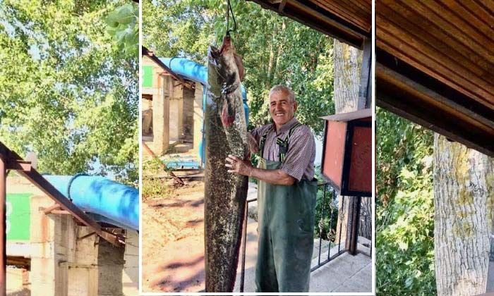 Edirne’de amatör balıkçı tam 40 kiloluk yayın balığı tuttu