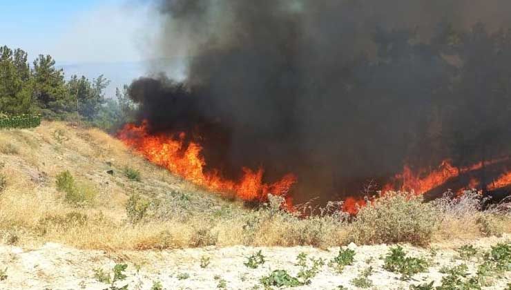 Manisa’daki yangının verdiği zarar ortaya çıktı