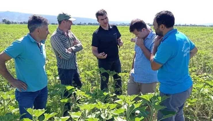 Kabus giderek büyüyor! Bir ilde daha görüldü