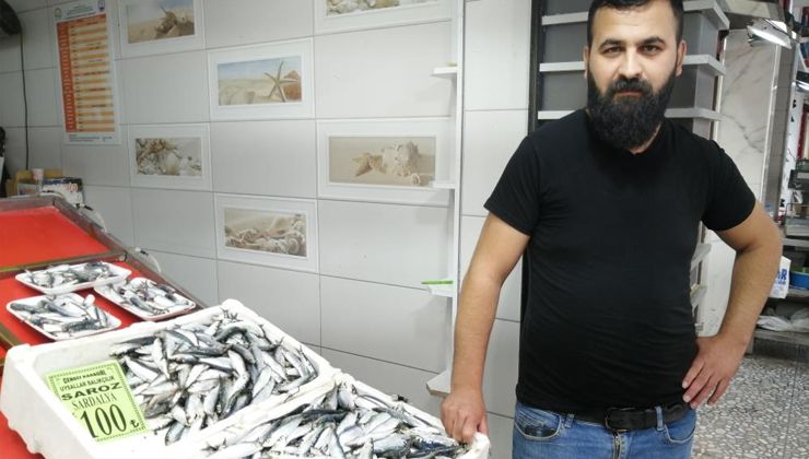 Sardalyanın kilosu 100 liraya düştü