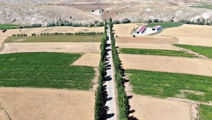 Sivas’ta mest eden koridor: Giren hayran kalıyor